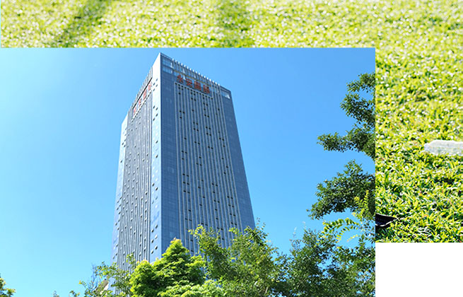 雙梁起重機(jī)